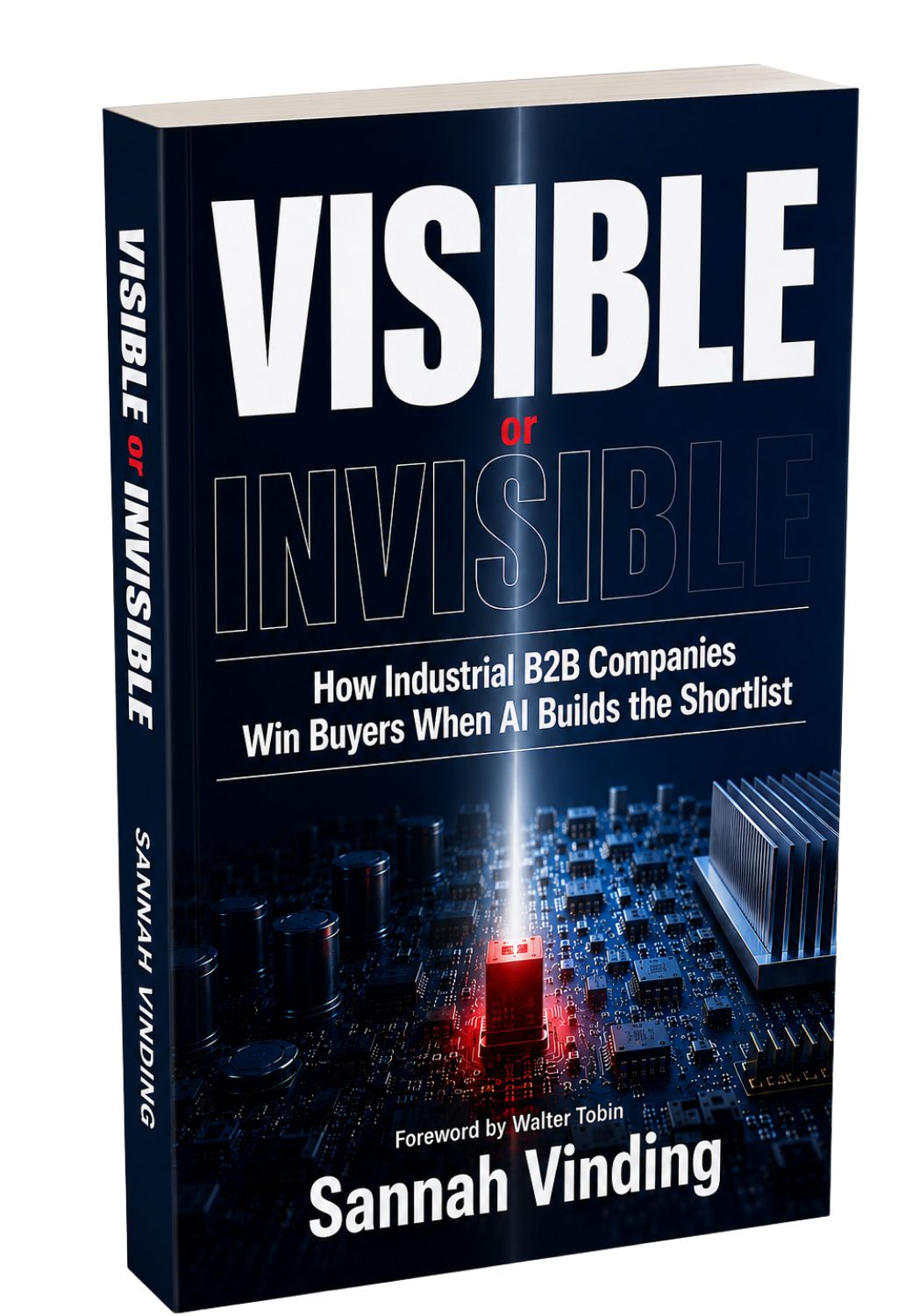Visible or Invisible — 3D book by Sannah Vinding